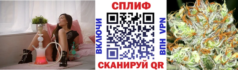 Конопля конопля  Тверь 